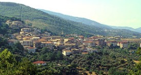 Panorama